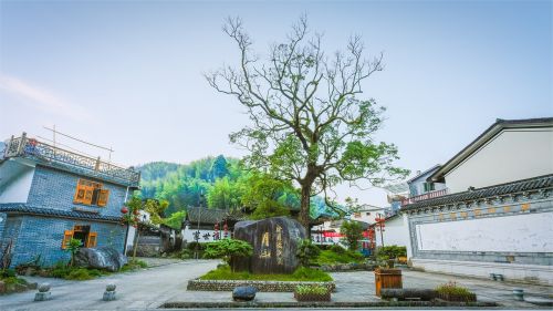 mountain village trees ancestral temple