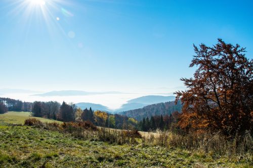 mountains autumn panorama