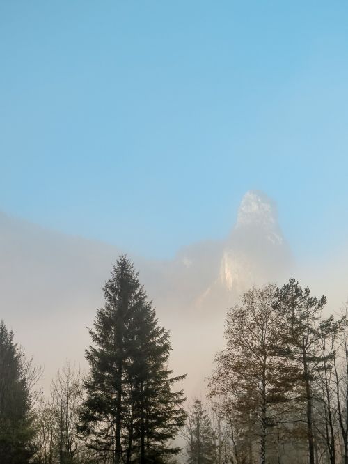mountains fog trees