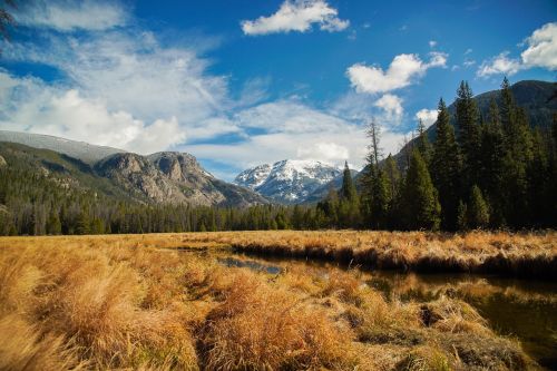 mountains trees grass