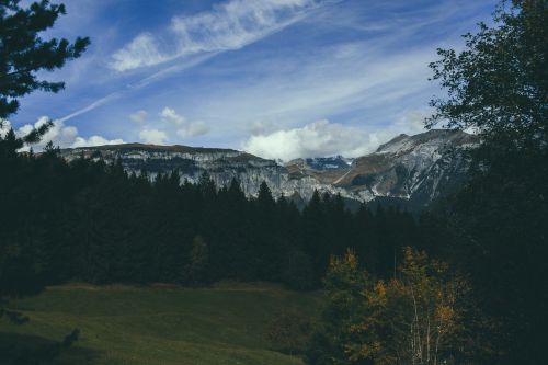 mountains trees forest