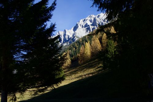 mountains alpine fir