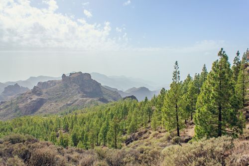 gran canaria canary islands mountains