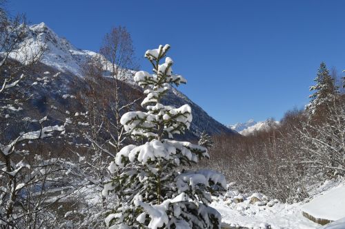 mountains winter landscape