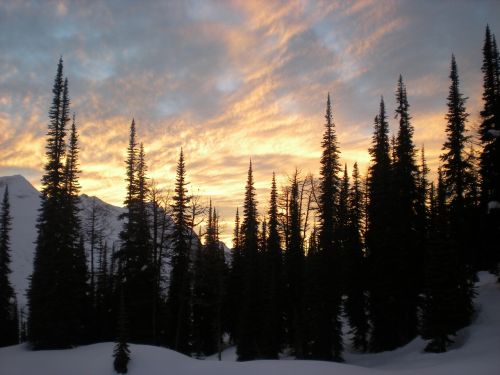 mountains winter trees