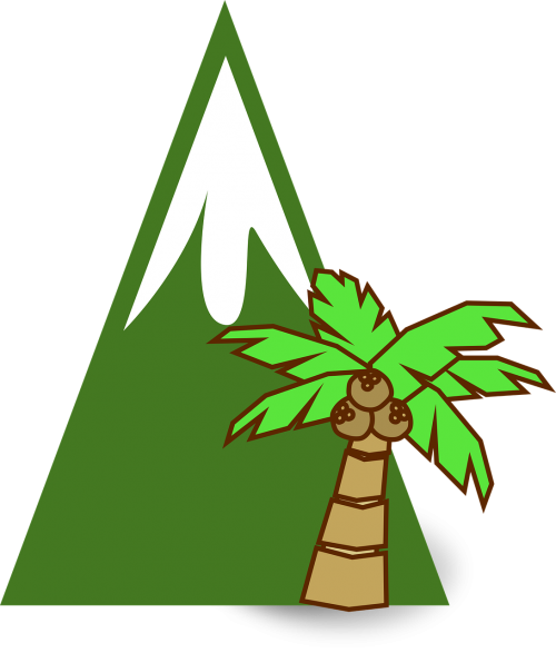 mountains tropical palm tree