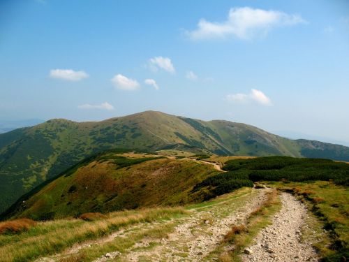 mountains summer trail