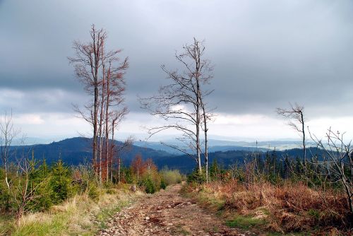 mountains view landscape