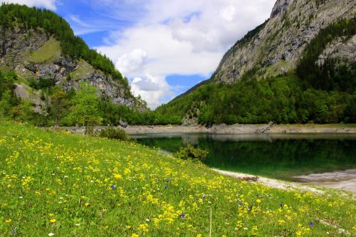 mountains meadow dachstein