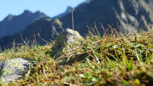 mountains stone meadow