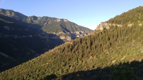 mountains trees landscape