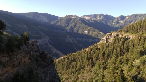 mountains trees landscape