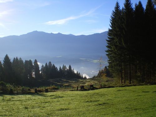 mountains tree nature