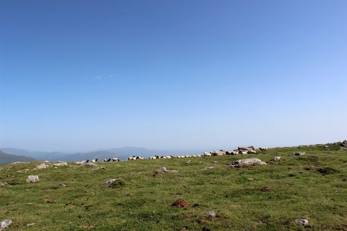 mountains animals landscape