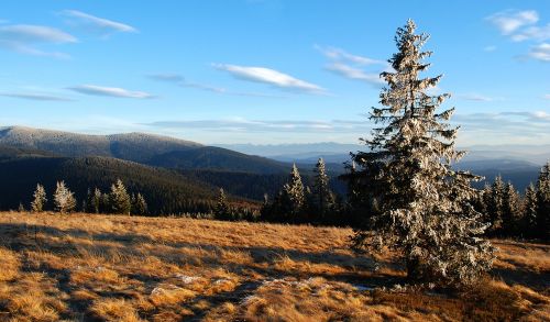 mountains view rysianka