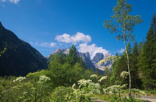 mountains nature summer