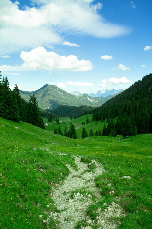 mountains trail alpine