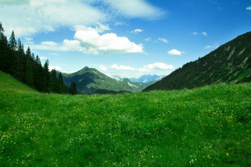 mountains trail alpine