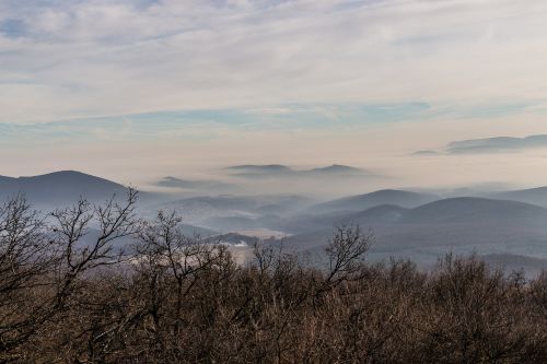 mountains valley forest