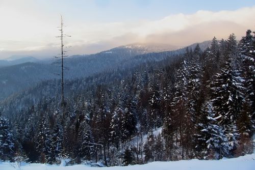 mountains prehyba landscape