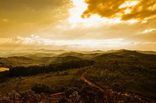 mountains sunrise forest