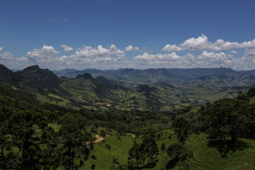 mountains landscape trees