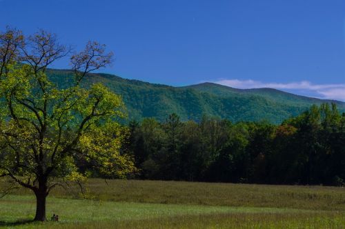 mountains landscape nature