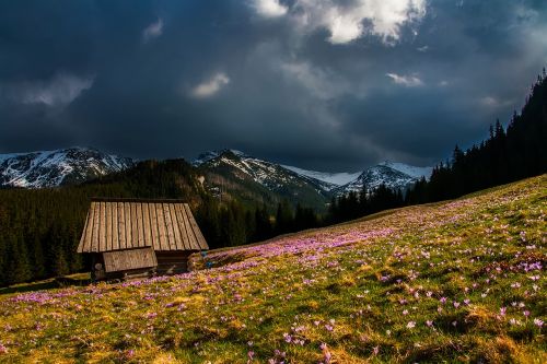 mountains landscape log cabin
