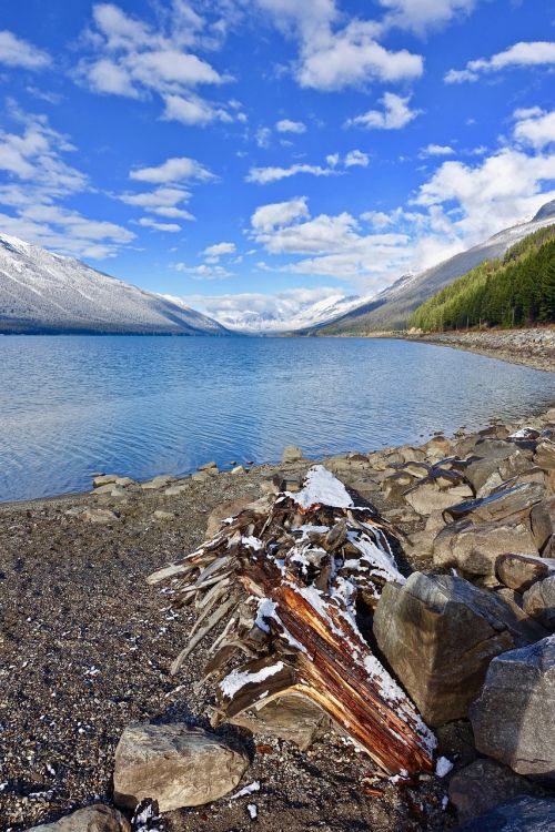 mountains lake wood