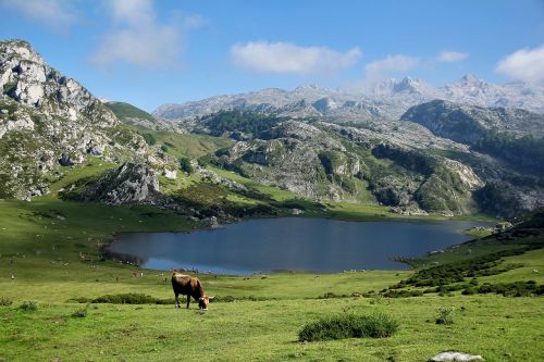 mountains lake blue