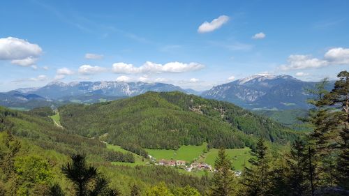 mountains forest nature