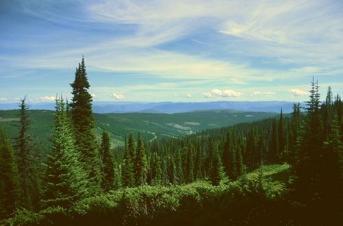 mountains hills trees