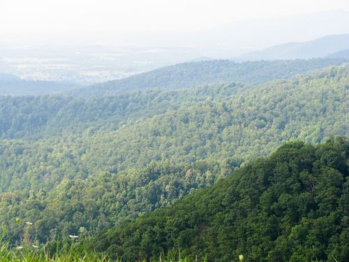 mountains trees hills