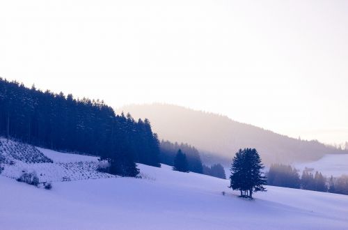 mountains trees hills