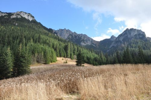 mountains landscape view