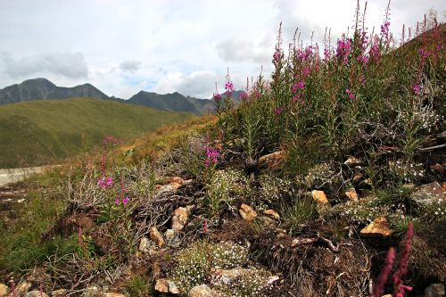 mountains nature landscape