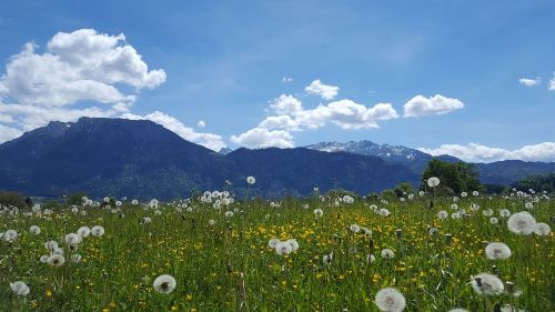 mountains tyrol landscape