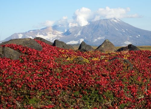 mountains volcano tundra