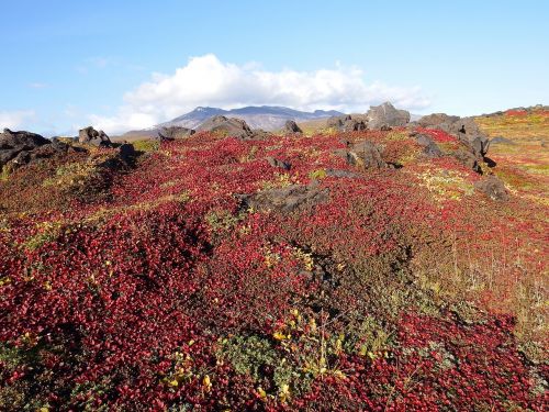 mountains volcano tundra