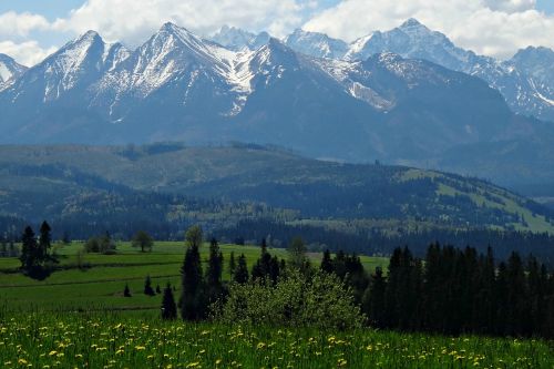 mountains spring tatry