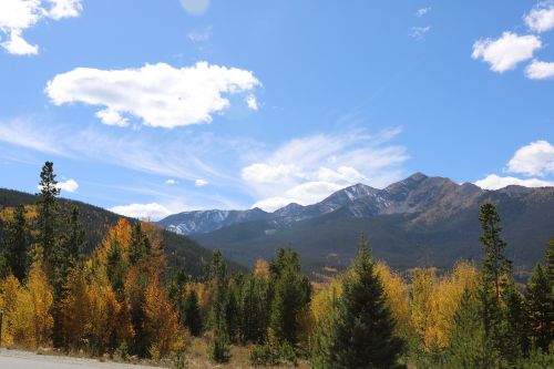 mountains trees landscape