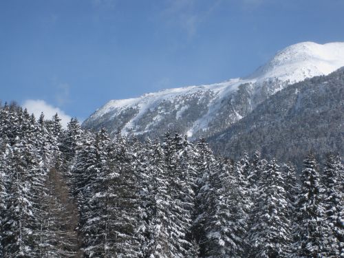 mountains conifers snow landscape