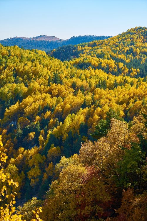 mountains trees autumn