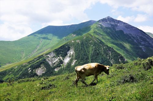mountains northern georgia