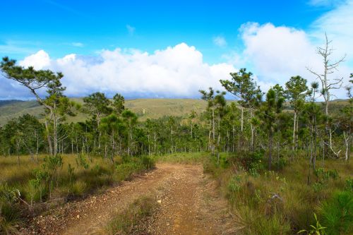 mountains landscape sky