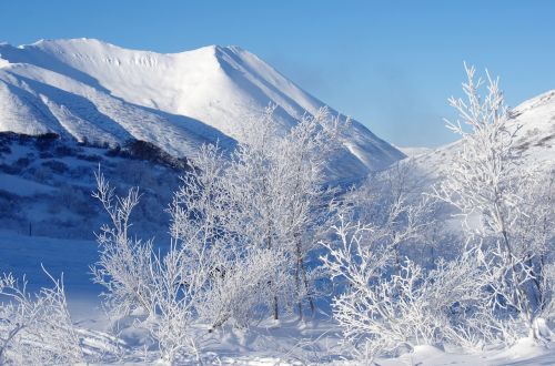 mountains forest winter