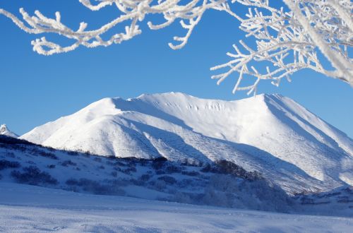 mountains forest winter