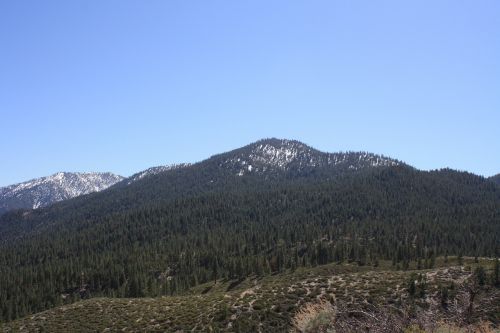 mountains forest nature