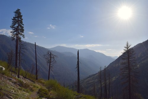 mountains  nature  tree