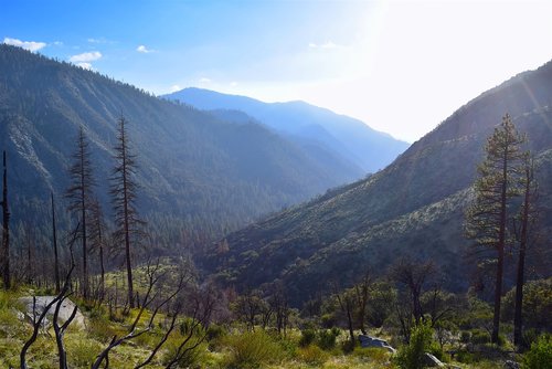 mountains  nature  tree